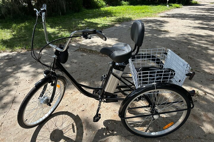 2-hr. Kissimmee Lakefront Tour on a DELUXE Fully Electric Trike - Photo 1 of 12